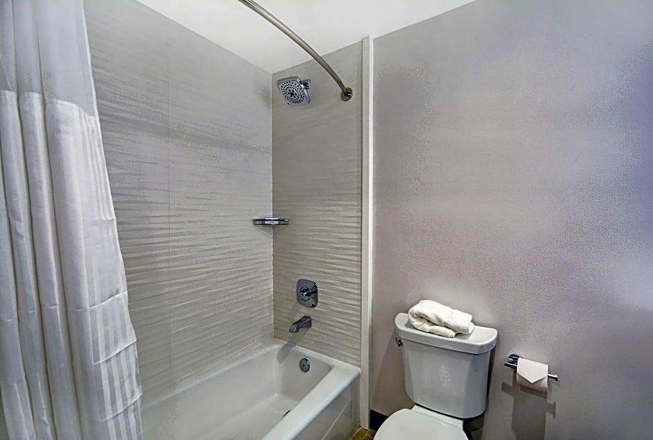 Hilton Garden Hobby Airport 3*